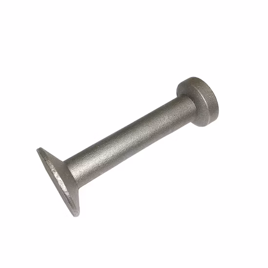 Университет